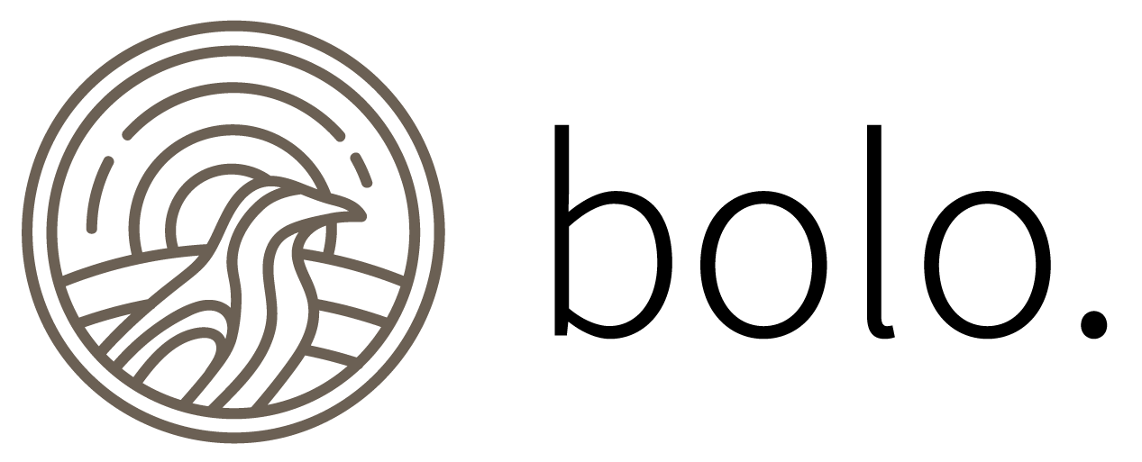Bolo