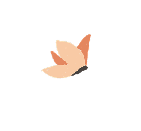 Motýľ